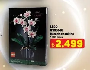Lego 6395146 Botanicals Orkide 608 Parça