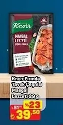 Knorr Fırında Tavuk Çeşnisi Mangal Lezzeti 29G