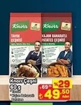 Knorr Çeşni 60 G