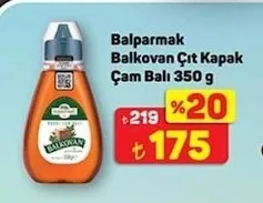 Balparmak Balkovan Çıt Kapak Çam Balı 350 G