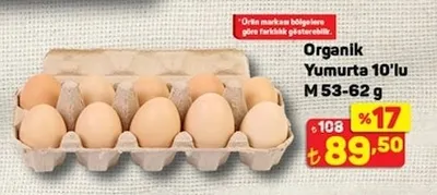 Organik Yumurta 10'Lu M 53-62 G