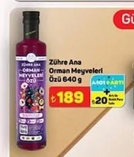 Zühre Ana Orman Meyveleri Özü 640 G