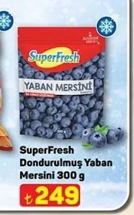 Superfresh Dondurulmuş Yaban Mersini 300 G