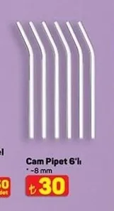 Cam Pipet 6'Lı ~8 Mm