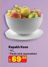 Kapaklı Kase 4 L
