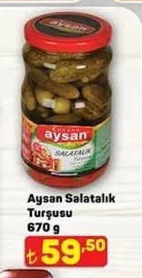 Aysan Salatalık Turşusu 670 G