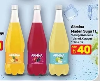 Akmina Maden Suyu 1 L