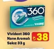 Vivident 360 Nane Aromalı Sakız 33 G