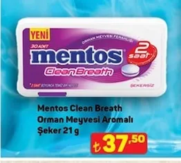 Mentos Clean Breath Orman Meyvesi Aromalı Şeker 21 G