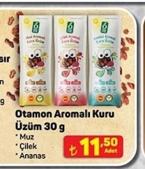Otamon Aromalı Kuru Üzüm 30 G