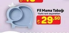 Fil Mama Tabağı
