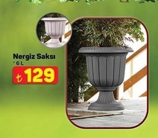 Nergiz Saksı 6 L