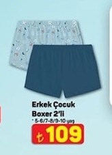 Erkek Çocuk Boxer 2'Li