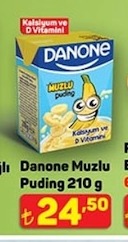 Danone Muzlu Puding 210 G