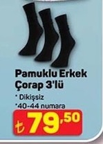 Pamuklu Erkek Çorap 3'Lü