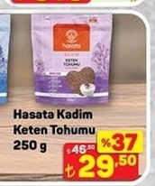 Hasata Kadim Keten Tohumu 250 G