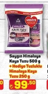 Saygın Himalaya Kaya Tuzu 500 G