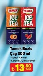 Tamek Buzlu Çay 200 Ml