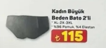 Kadın Büyük Beden Bato 2'Li