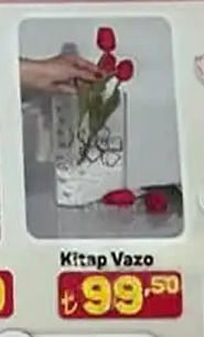 Kitap Vazo
