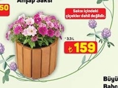 Anışap Saksı 3.3 L