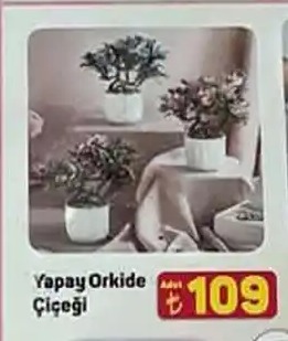 Yapay Orkide Çiçeği