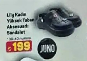 Lily Kadin Yuksek Taban Aksesuarlı Sandalet 36-40 Numara