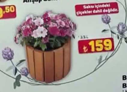 Saksı 3.5L
