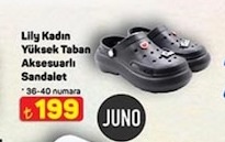 Lily Kadın Yüksek Taban Aksesuarlı Sandalet 36-40 Numara