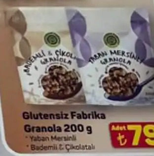 Glutensiz Fabrika Granola 200G