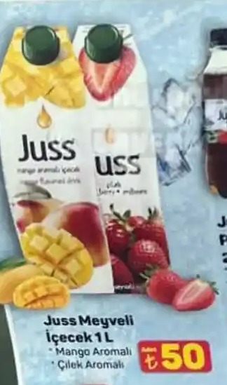 Juss Meyveli İçecek 1 L