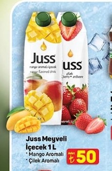 Juss Meyveli İçecek 1 L