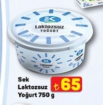 Sek Laktozsuz Yoğurt 750G