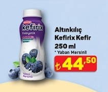 Altınkılıç Kefirix Kefir 250 Ml Yaban Mersinli