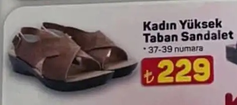 Kadın Yüksek Taban Sandalet 37-39