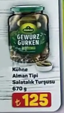 Kühne Alman Tipi Salatalık Turşusu 670G