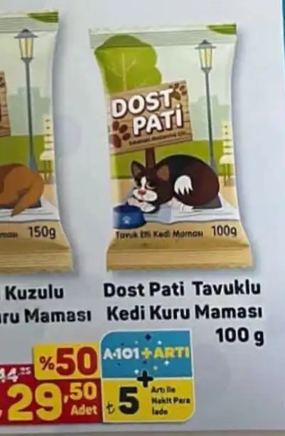 Dost Pati Tavuklu Kedi Kuru Maması 100 G