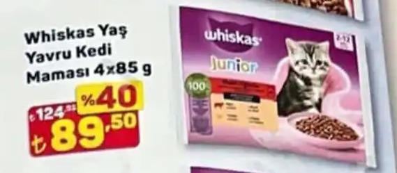 Whiskas Yavru Kedi Maması 4X85 G