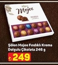 Şölen Mojee Fındıklı Krema Dolgulu Çikolata 246 G