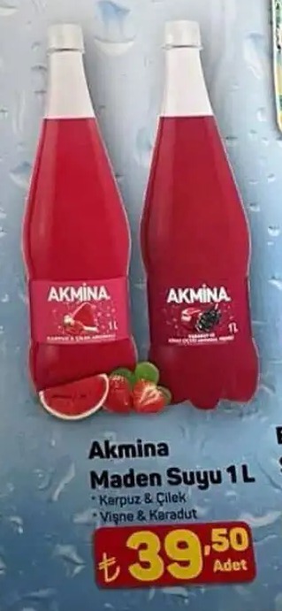 Akmina Maden Suyu 1L
