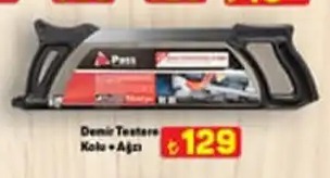 Demir Testere Kolu Ağı