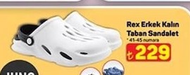Rex Erkek Kalın Taban Sandalet