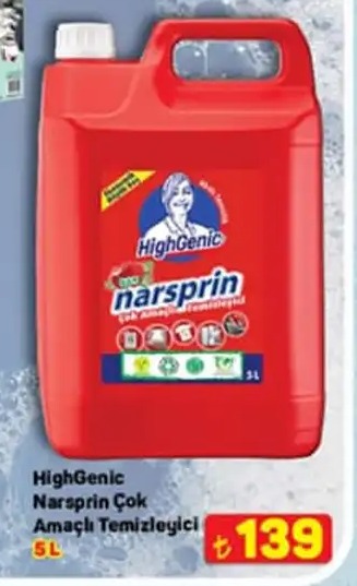 Highgenic Narspring Çok Amaçlı Temizleyici 5L