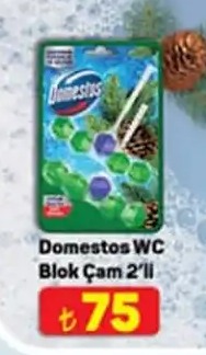 Domestos Wc Blok Çam 2'Li