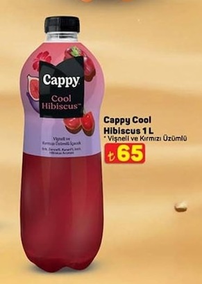 Cappy Cool Hibiscus 1L