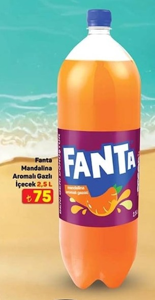 Fanta Mandalina Aromalı Gazlı İçecek 2.5 L