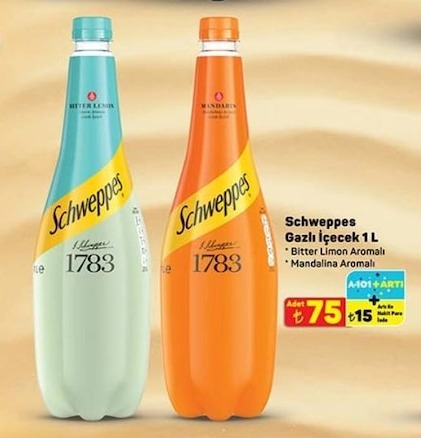 Schweppes Gazlı İçecek 1 L