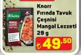 Knorr Fırında Tavuk Çeşnisi Mangal Lezzeti 29G