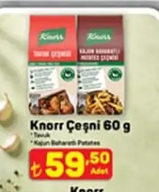 Knorr Çeşni 60 G