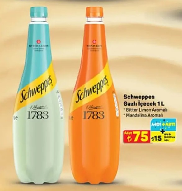Schweppes Gazlı İçecek 1L